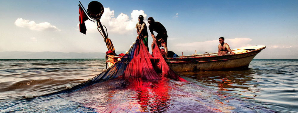 中国 最もよい HDPE の漁網 販売